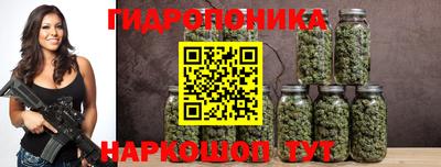 прущие крисы Канаш