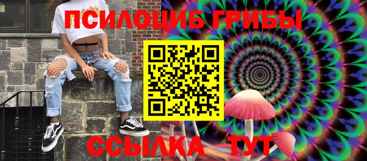 где можно купить наркотик  Галлюциногенные грибы Cubensis  Вход с VPN  Галлюциногенные грибы прущие грибы  Кушва 