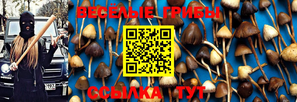 Псилоцибиновые грибы мицелий Кушва